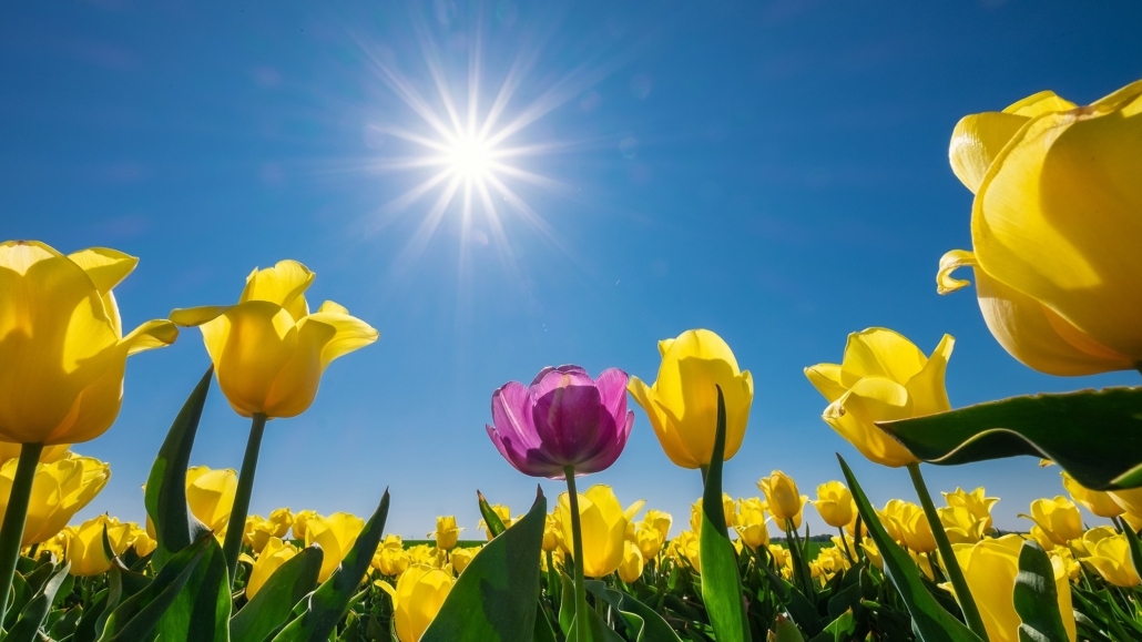 94123559_2711649168934333_5857510203972386816_n